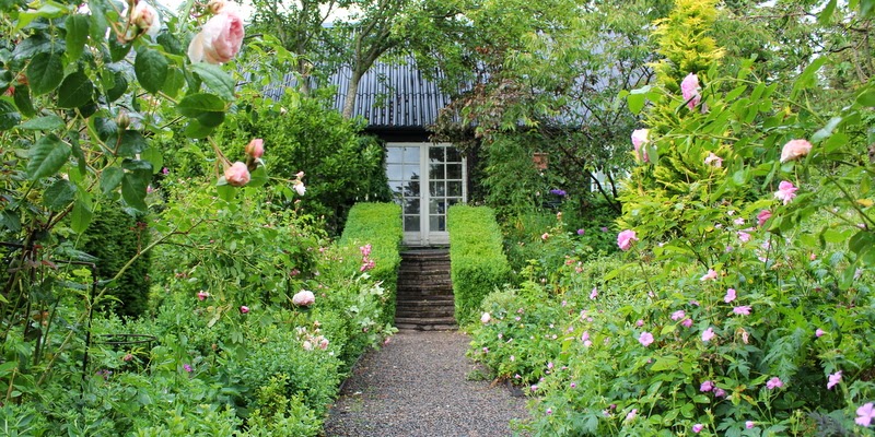 Haven i Hune, rosenhaven Haven i Hune, rosenhaven
