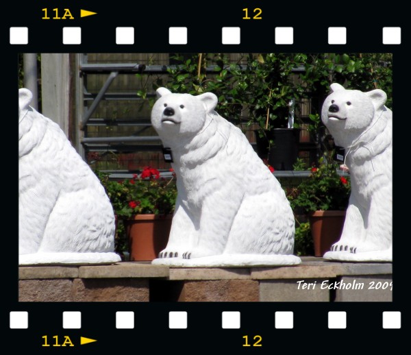 first time homebuyer snapshot of White Bear Lake MN by Teri Eckholm REALTOR first time homebuyer snapshot of White Bear Lake MN by Teri Eckholm REALTOR