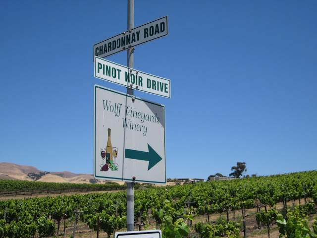 Pinot Noir Drive at Wolff Vineyards