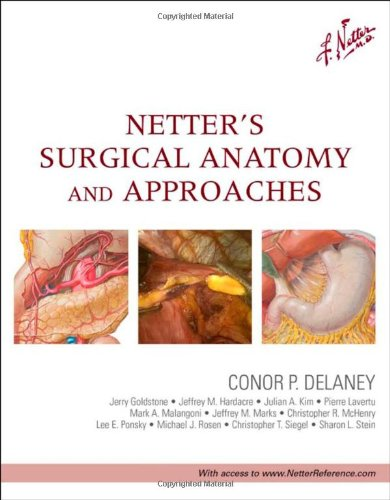 Netter’s Surgical Anatomy and Approaches (Netter Clinical Science