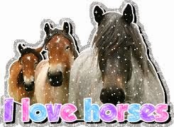 I love horses!