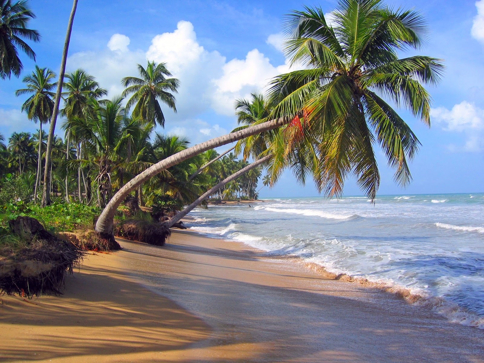 Unique Wallpaper: 10 fotos de playas tropicales para tus próximas