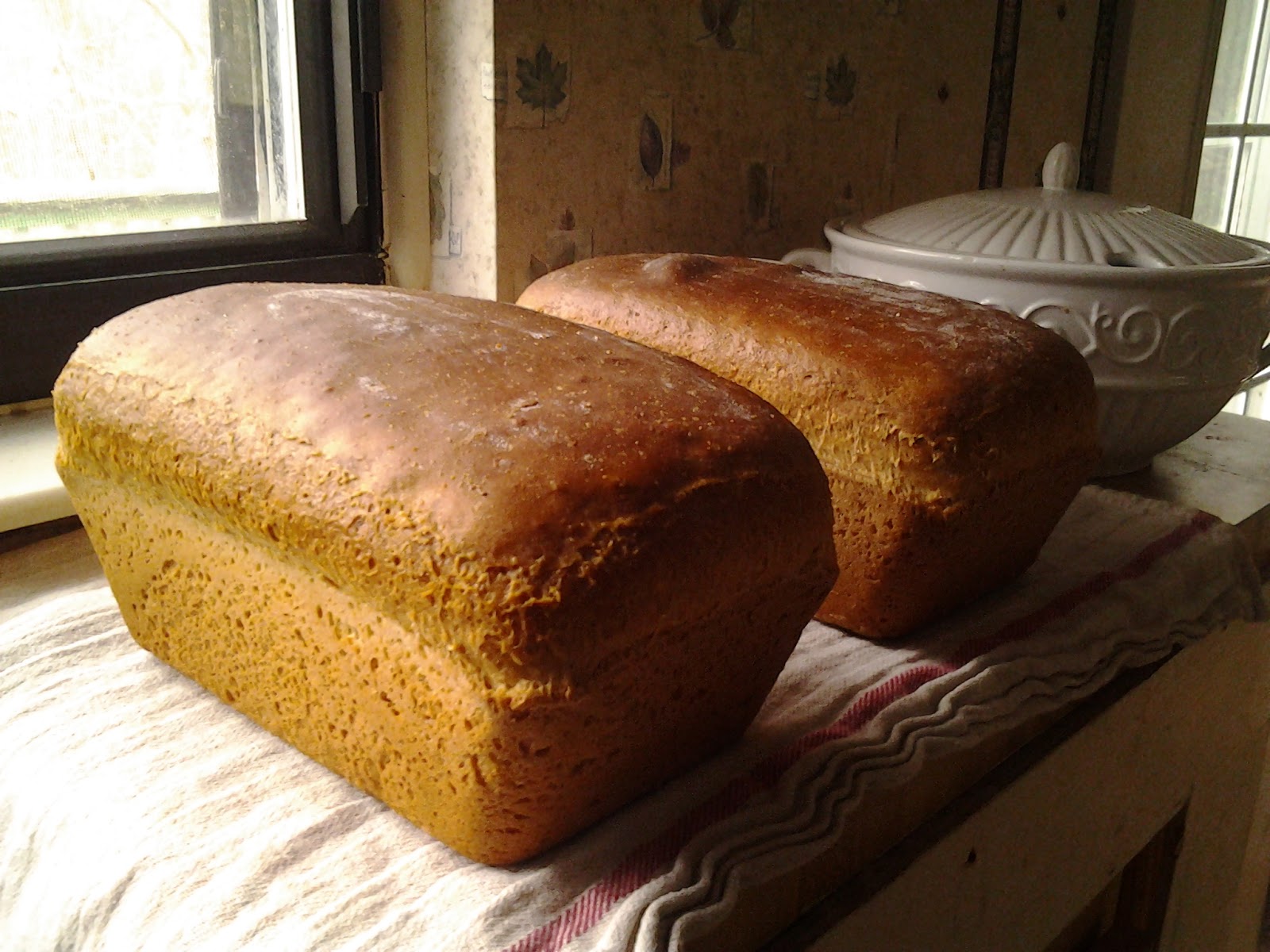 Romantic History Salt Rising Bread