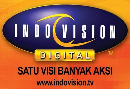 Lndovision Digital