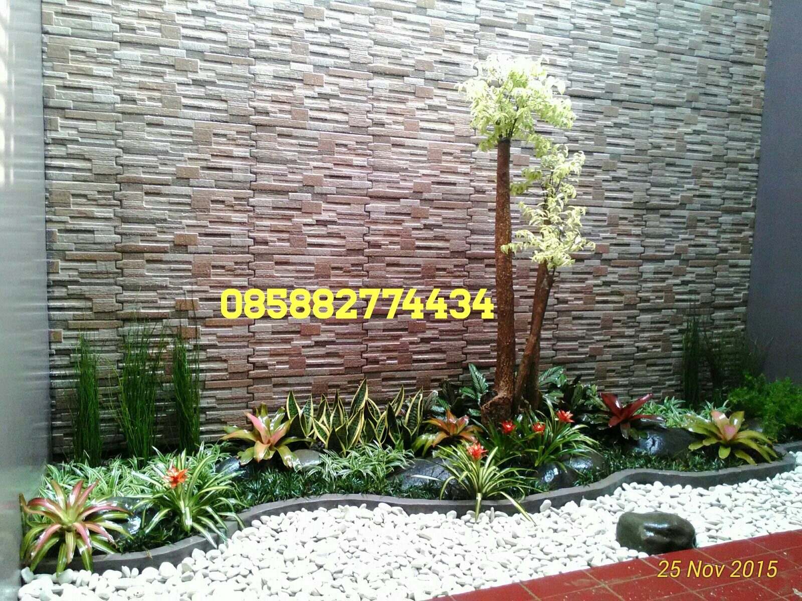 TUKANG TAMAN MURAH TANAMAN HIAS TANAMAN PELINDUNG KOLAM TUKANG TAMAN MURAH TANAMAN HIAS TANAMAN PELINDUNG KOLAM