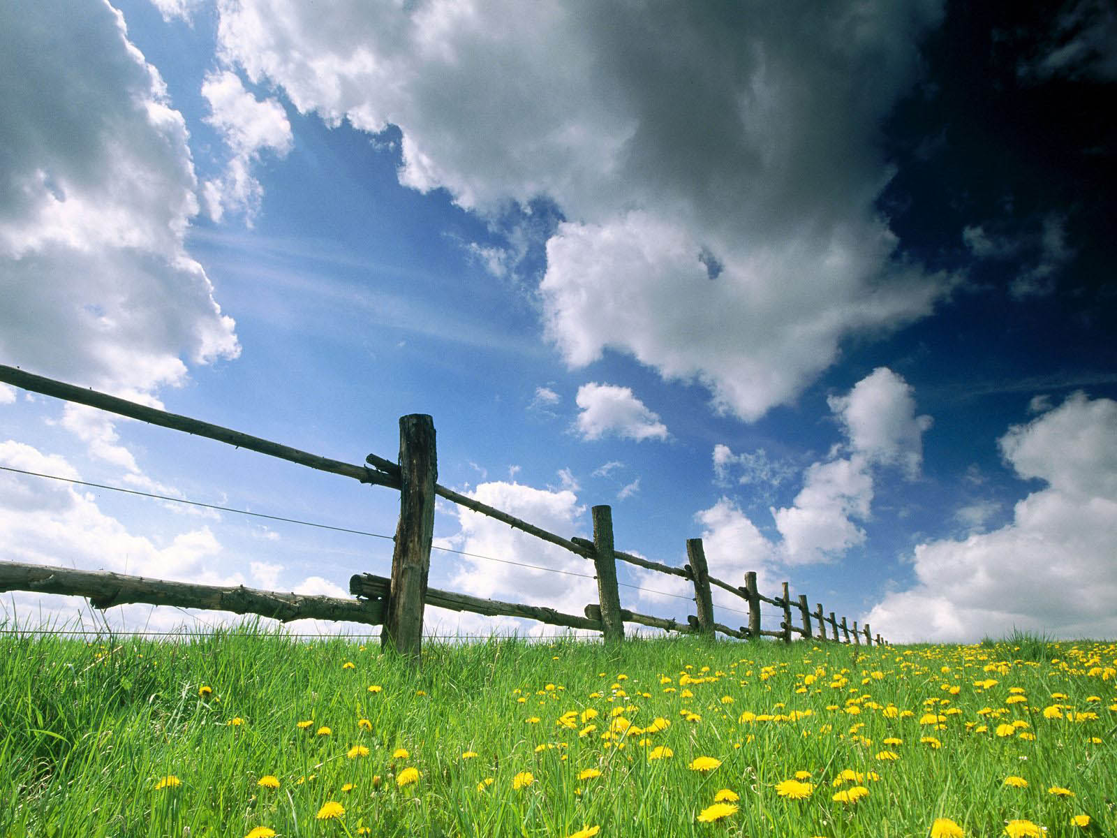 Desktop Wallpaper Free Download Desktop Wallpaper Free Download
