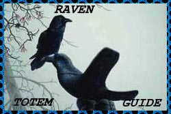 Raven Guide