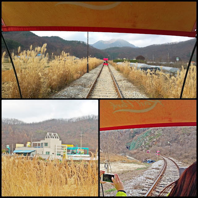 Enjoying view of gorgeous golden wheat field. Enjoying view of gorgeous golden wheat field. | www.meheartseoul.blogspot.sg