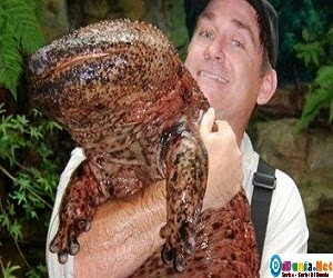 Binatang terbesar didunia Binatang terbesar didunia