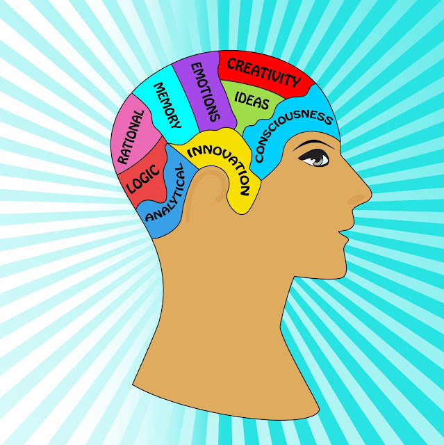 Brain Function Map1 Brain Function Map1