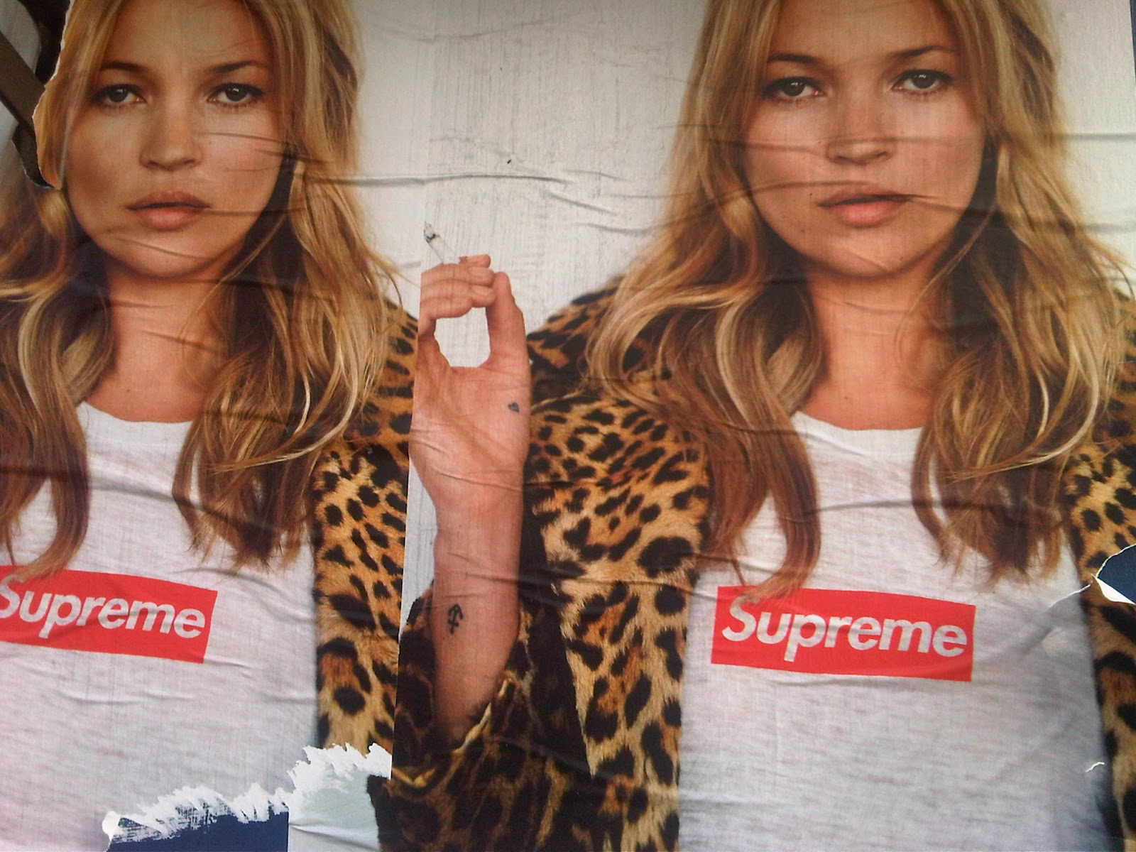http://4.bp.blogspot.com/-eM30sZe7dYY/T0p63dtHQ5I/AAAAAAAAB7Q/DqFqkEXFrjI/s1600/supreme+.jpg
