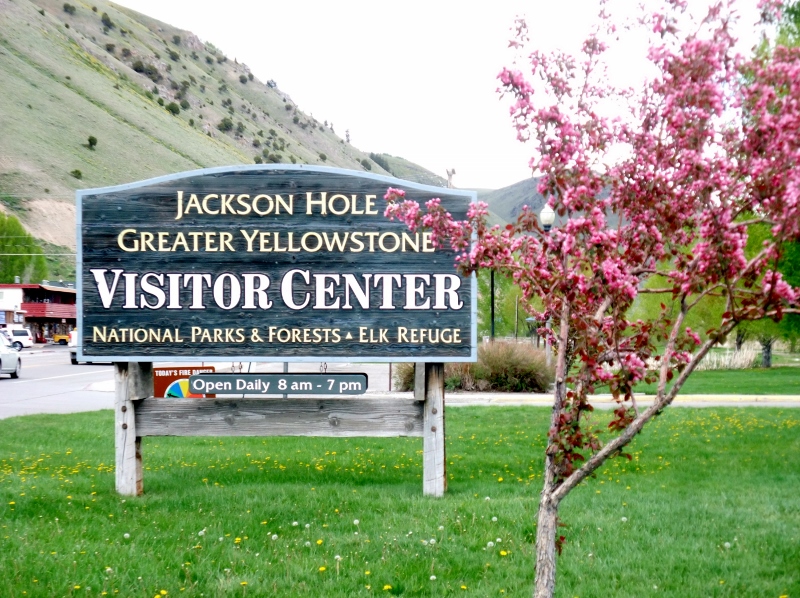 Gypsies At Heart Jackson Hole & Greater Yellowstone Visitor Center in