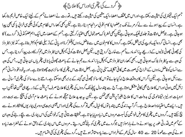 quaid e azam essay in urdu language