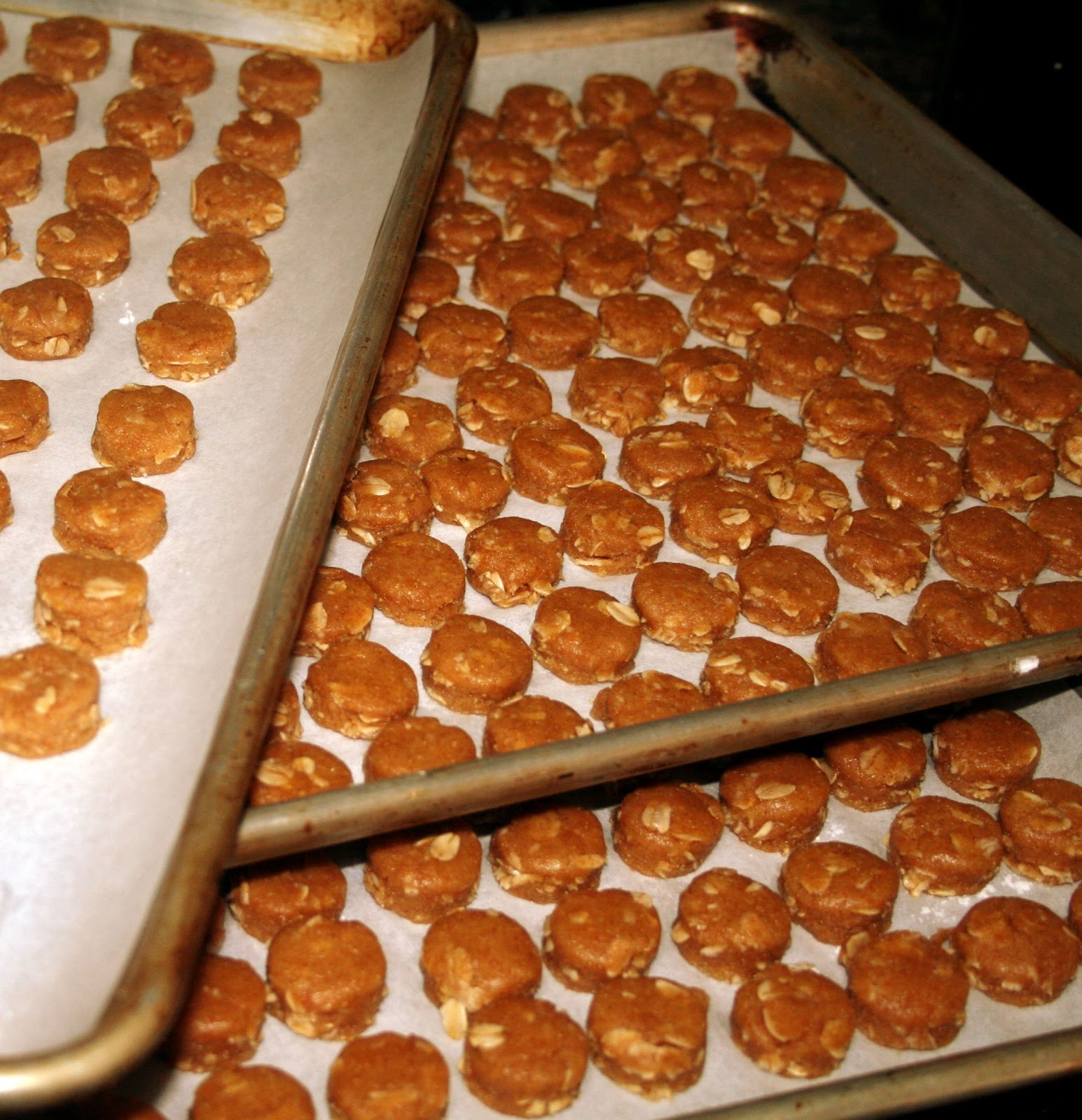 37 Cooks Best in Breed Dog Cookies AND Moab's Favorite Dog's Cookies