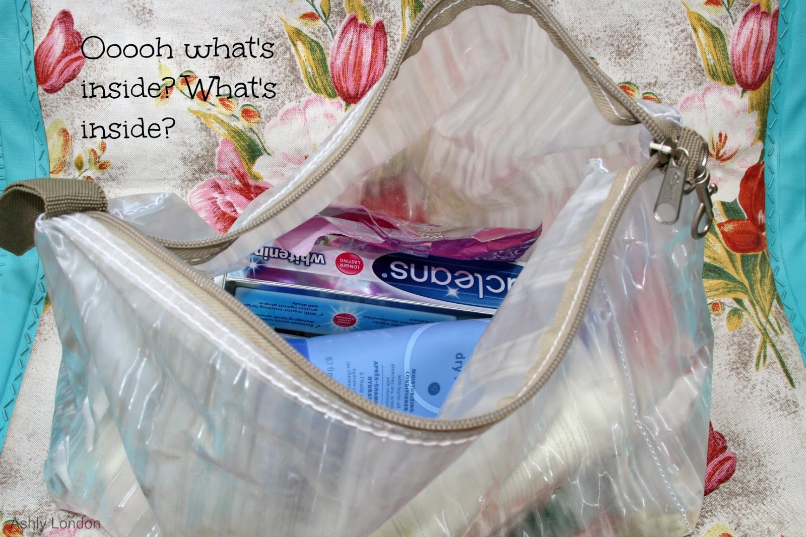 Ashly Rae Beauty, Lifestyle, Health, Fitspo and inspiration How much