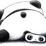 panda illustrations never fail to make me happy
