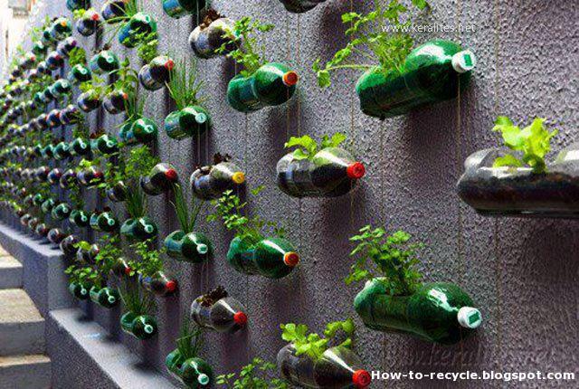 How to Recycle: Creative Items Made from Plastic Bottles