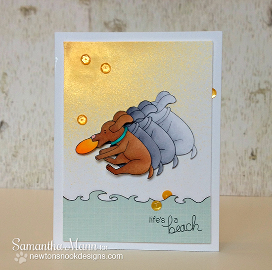 Dog Catching Frisbee card by Samantha Mann for Newton's Nook Designs | Beach Party Stamp Set