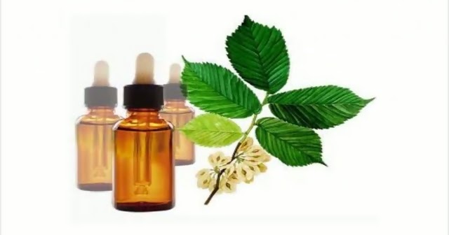 La homeopatía las altas potencias