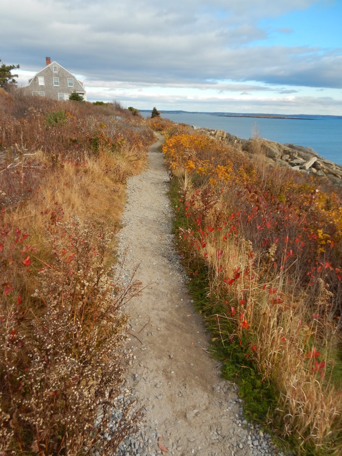 An Ocean Lover in Maine Another Cliff Walk Giant Steps