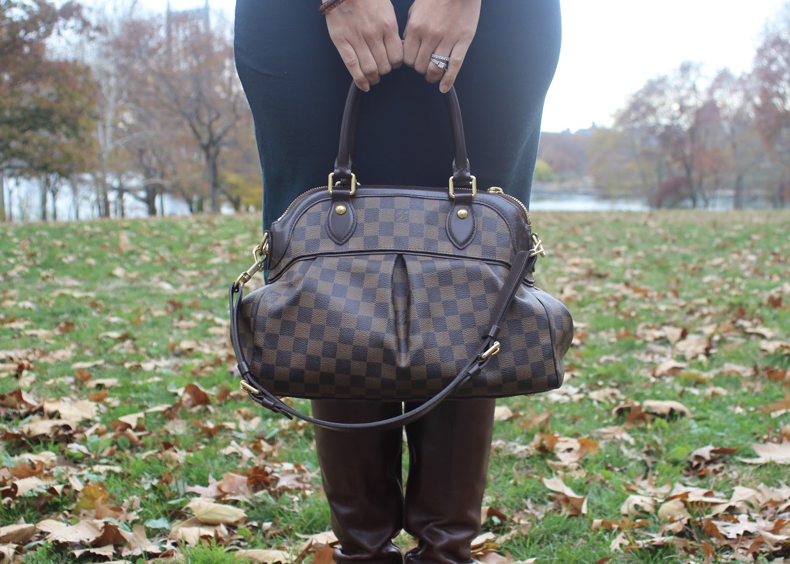 Louis Vuitton Trevi Leather Handbag