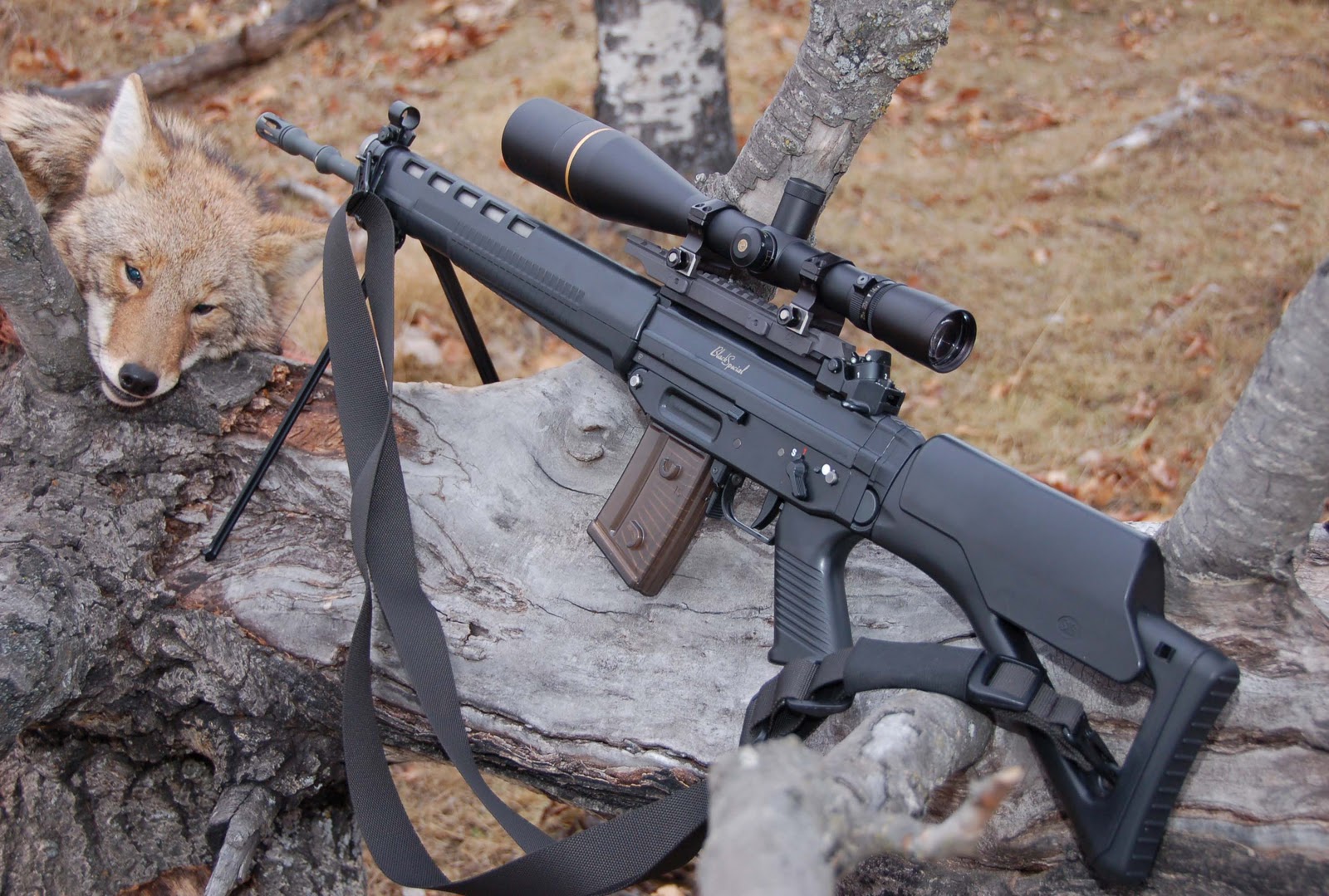 Opiniones de swiss arms