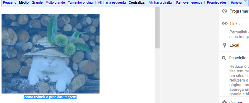 colocar title e alt em imagem colocar title e alt em imagem