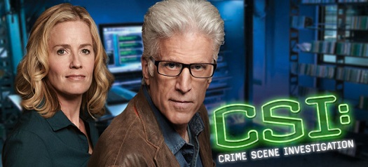 Watch Full Stream: CSI: Crime Scene Investigation Season 13 Episode 22 - Skin in the Game Online