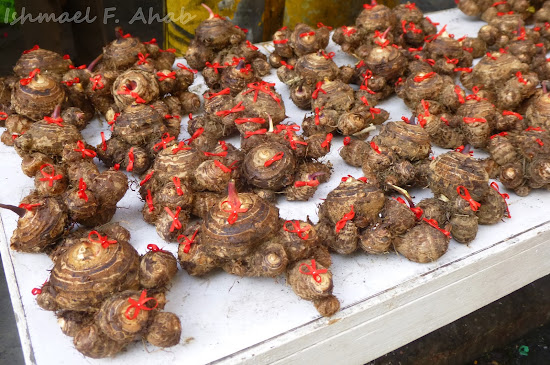 Binondo Chinatown 2014 Chinese New Year - Gabi (root crop) with red ribbon for luck