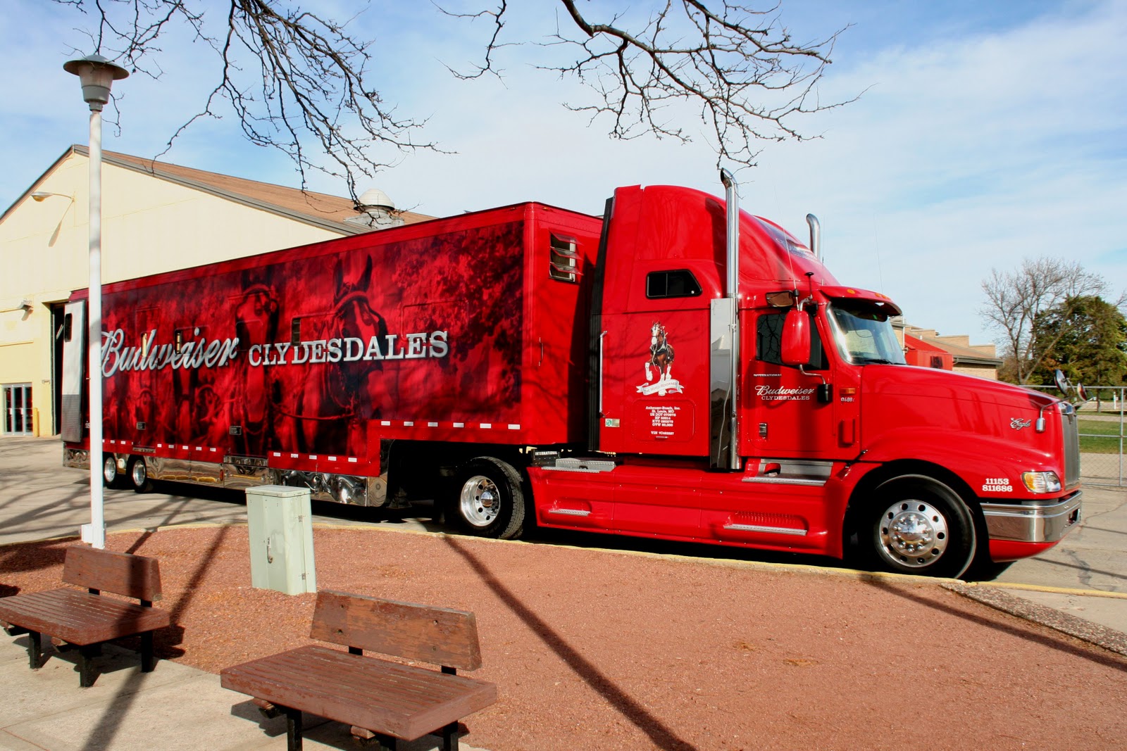 World Clydesdale Show The Budweiser Clydesdales arrive in Madison!