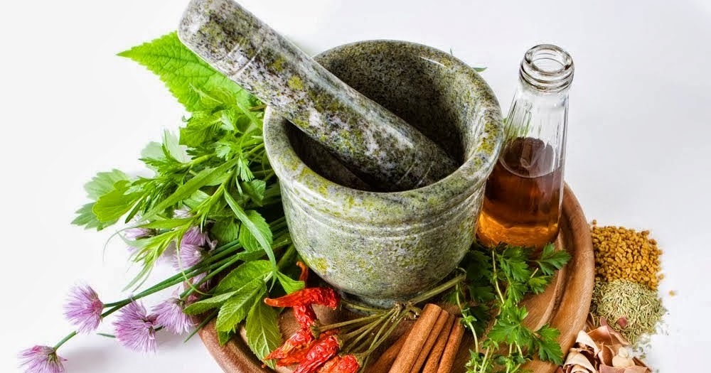 PUTRA GARDEN Sekilas Tentang Tanaman Obat Keluarga ( TOGA )