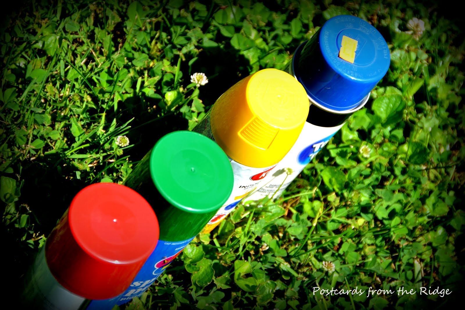 Lawn Twister Fun Postcards from the Ridge