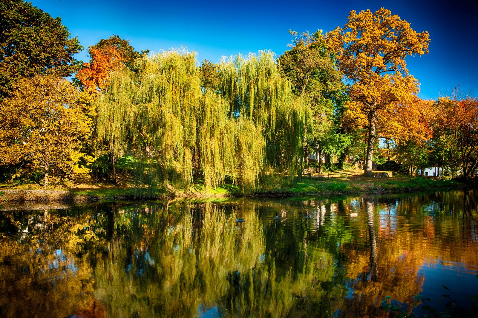 Your Shutter Buddy's USA tours Fall and Spring