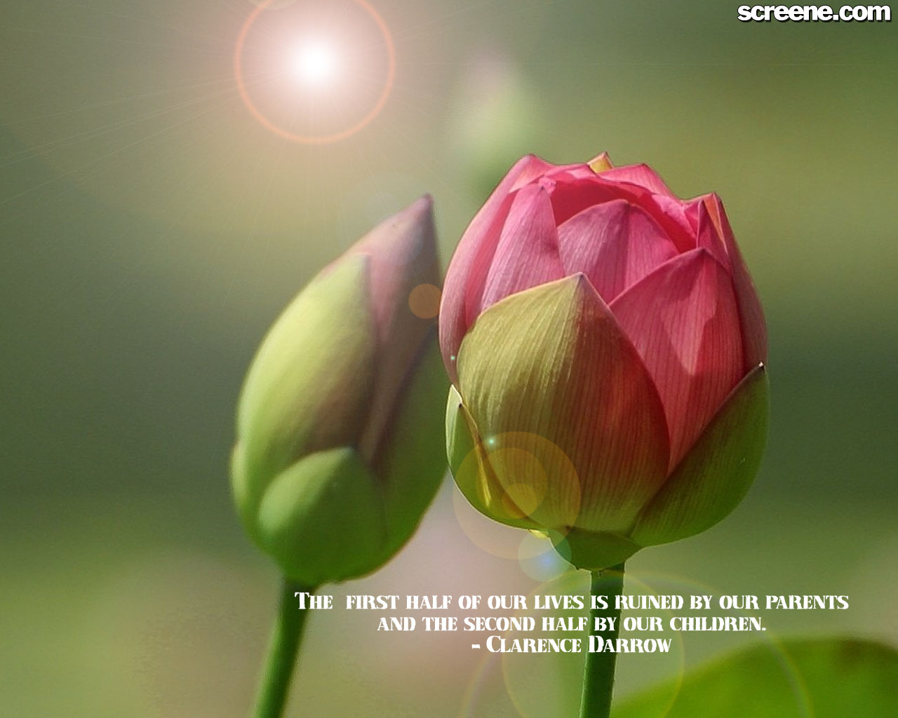 all new pix1 Nice Wallpapers With Quotes