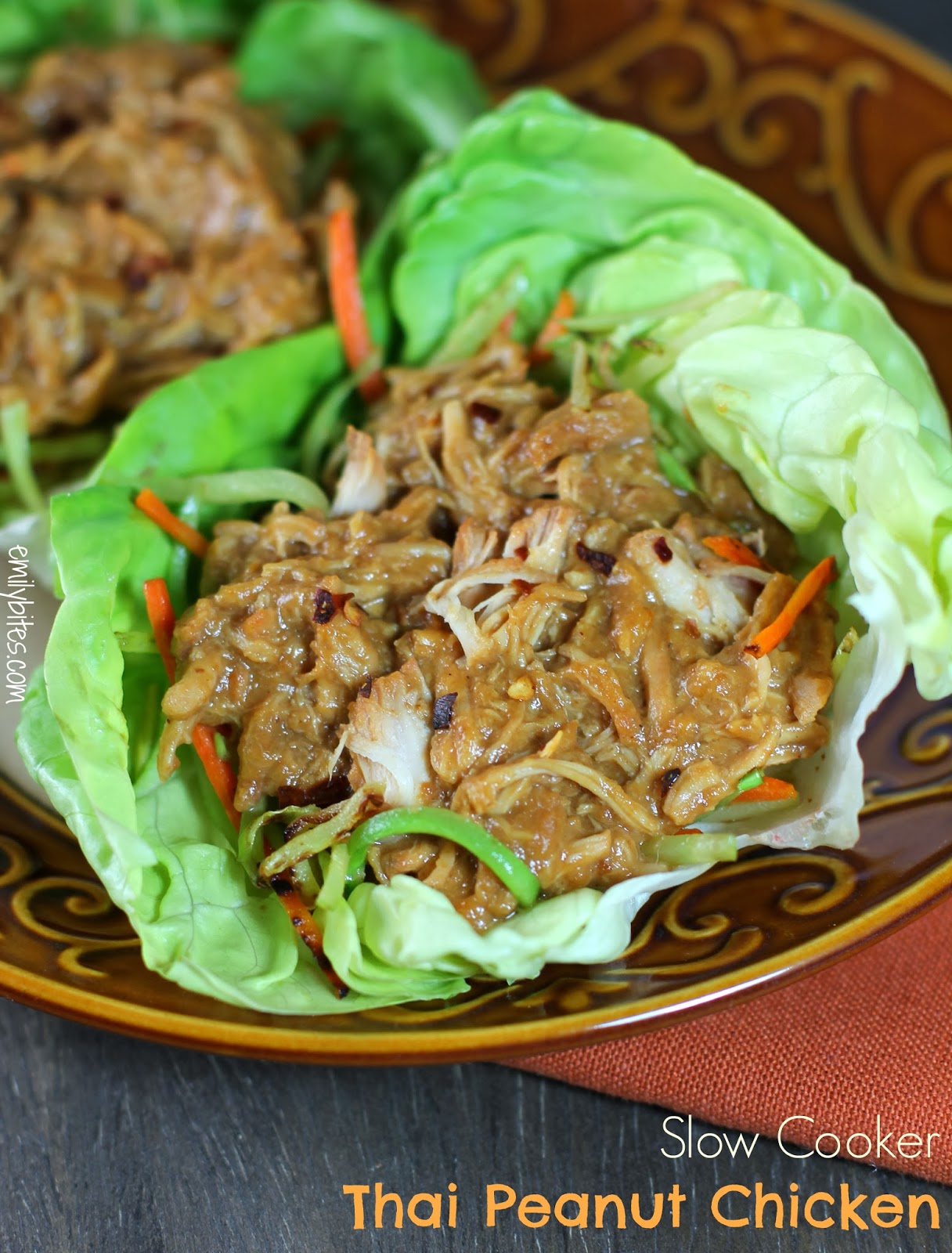 Slow Cooker Thai Peanut Chicken