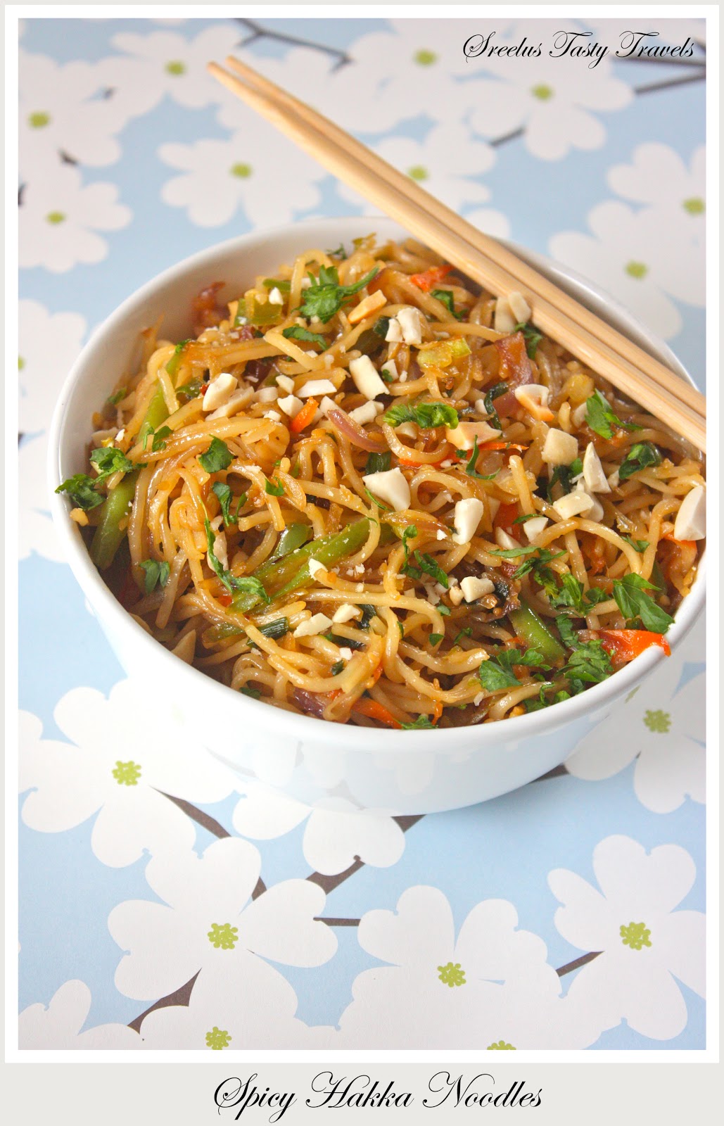 Sreelus Tasty Travels Hakka Noodles With Oodles Of Vegetables And Yes