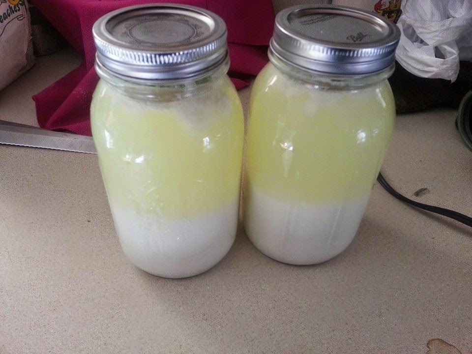 That Crafty Bitch Curds and Whey