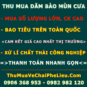 thu-mua-dam-bao-mun-cua-bia-carton-cui-domino-va-cac-phe-pham-go-khac-gia-cao-tai-binh-duong-dong-nai-tp.ho-chi-minh.gif thu-mua-dam-bao-mun-cua-bia-carton-cui-domino-va-cac-phe-pham-go-khac-gia-cao-tai-binh-duong-dong-nai-tp.ho-chi-minh.gif
