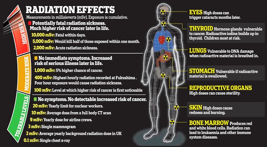 Health Safety & Environment (HSE) Effects of Radiation on the Human Body