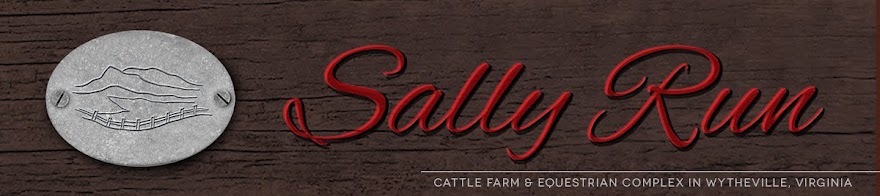 Sally Run