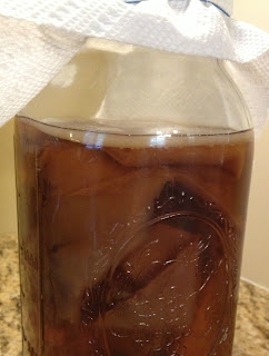 kombucha tea kombucha tea