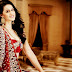 Indian - Pakistani Bridal Dresses 2014
