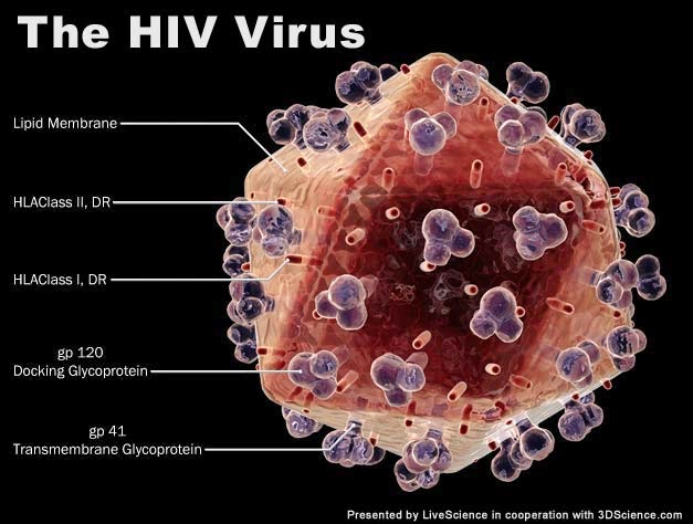 Virus Mematikan HIV