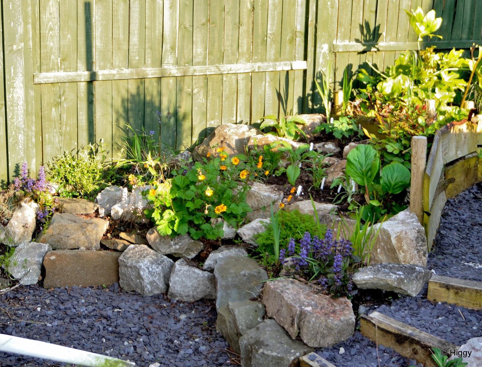 1000+ images about Garden rockery ideas on Pinterest