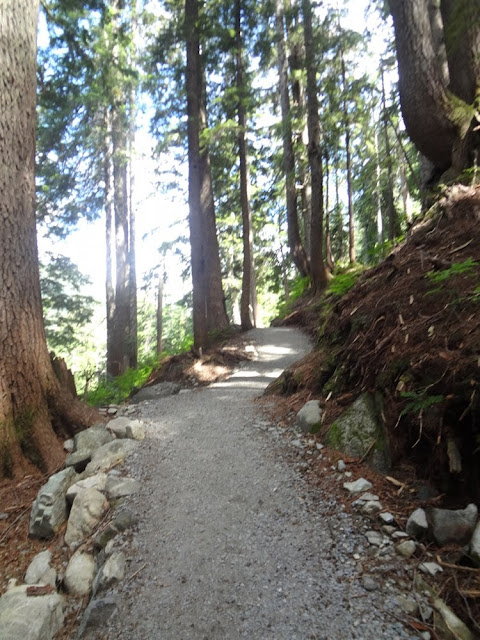 Howe Sound Crest Trail