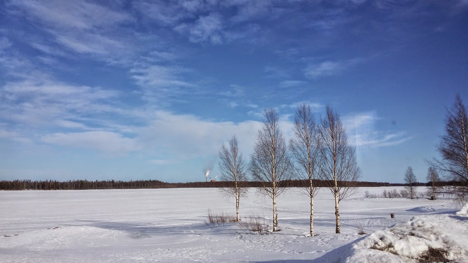 Skärgårdsvillan: mars 2015