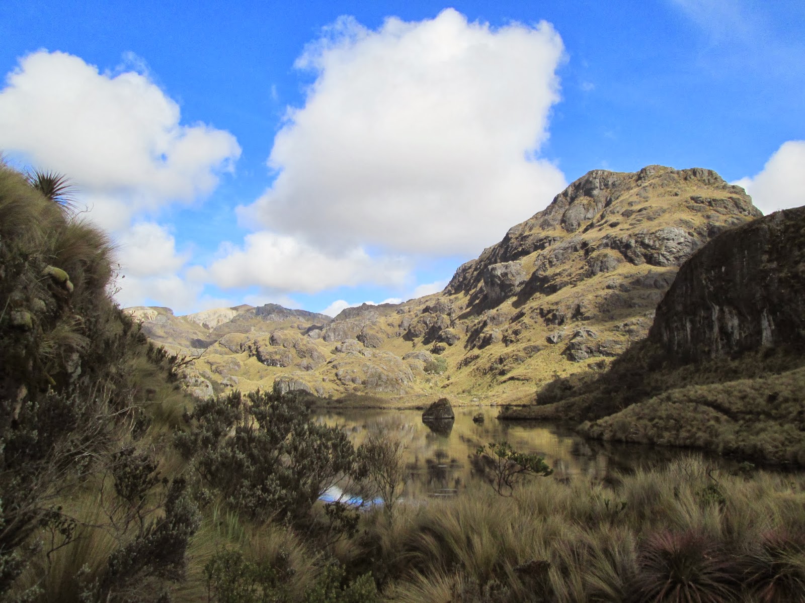 Peregrination Parque Nacional Cajas