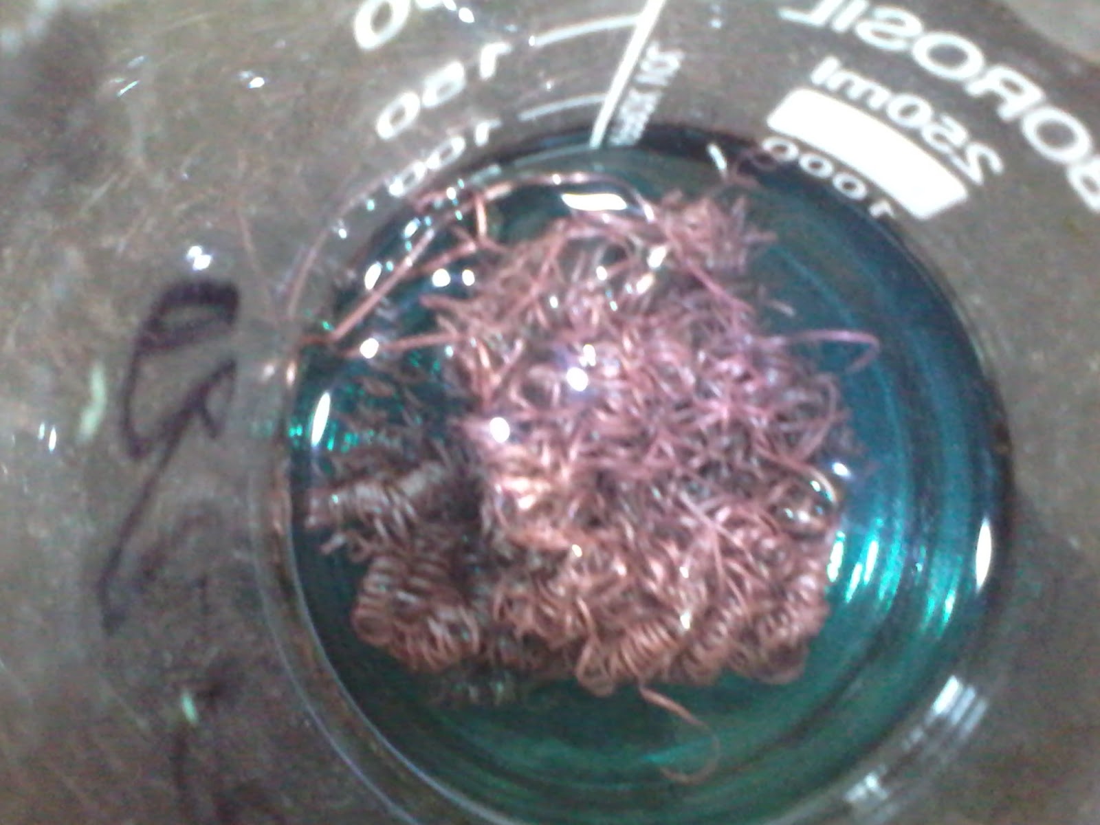 Steel wool experiment as a Good Indicator for confirmation of anaerobic