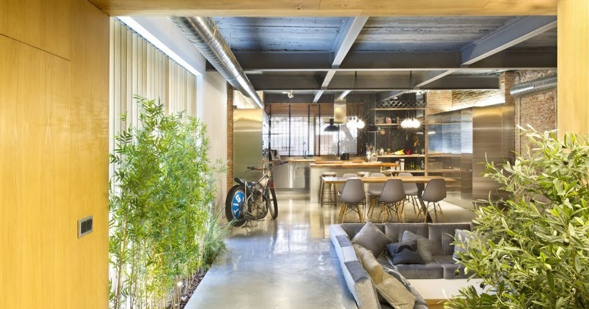 Loft cheio de luz e verdes