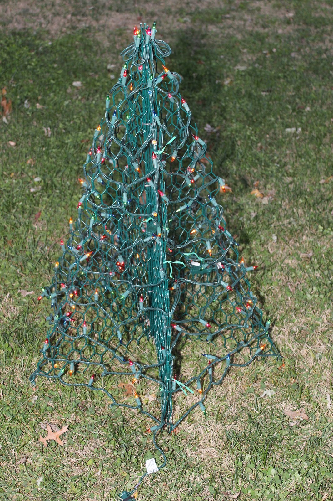 Trying To Go Green Crab Pot Trees